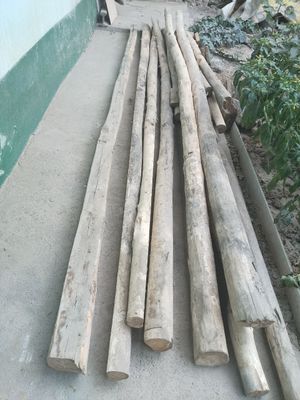 Продам деревянный кругляк