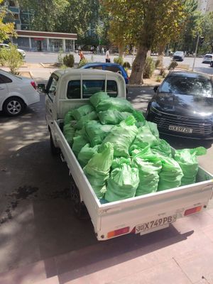 Musor Musir Мусор ташиш хизмати
