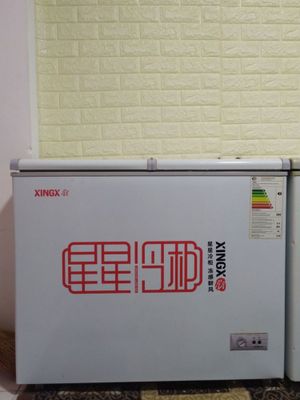 Morozilnik XINGX