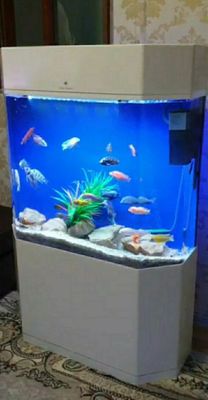 Xitoy akril akvarium baliqlarsiz 220 litr atrofida