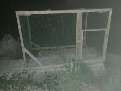 Tovuqlar uchun katak sotiladi