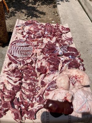 Qoy куй кой qochqorlar sotiladi 20 kg 60kg bor
