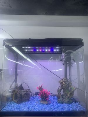 Xitoy akvarium 60 litr