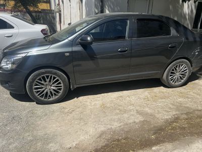 17 lik vossen diska coblt jentraga tushadi