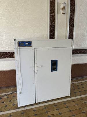 Инкубатор, Inkubator