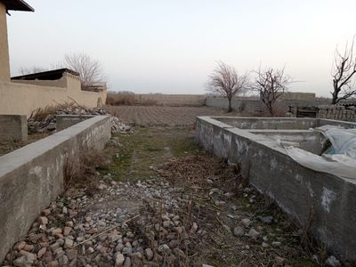 11 sutog narxini kelishamiz