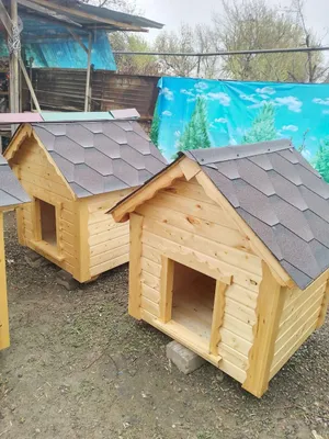 Будки, вольеры для Собак и Кошек в Ташкенте.