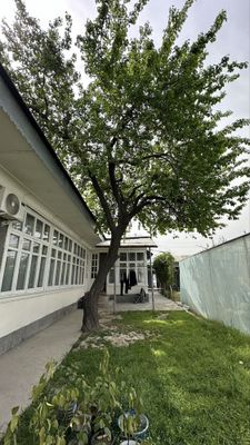 Тошкент тумани Кўксароу махалласида ховли сотилади
