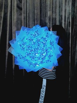 Букет из бабочек, Babochka buket