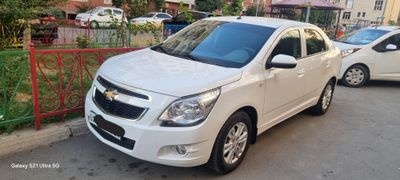 Kobalt 2023/24 gazi bor