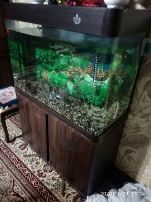 Продам аквариум cleair aquatics