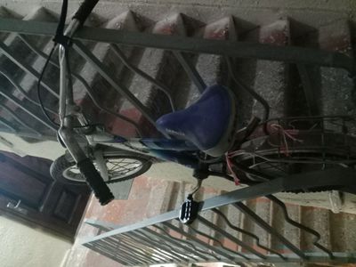 Velosiped destkiy