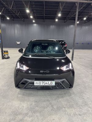 Byd Seagull 2025