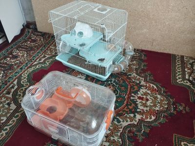 Продам 2 хомяков с клеткой с тунелью плюс контейнер