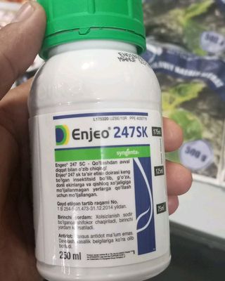 Archa va o'simliklarni dorulash