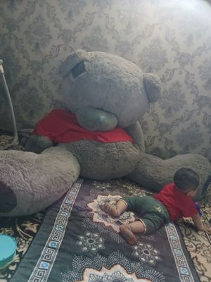 Teddy ayiq kattasi 2m dan ziyod bo‘yi