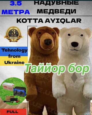 Ayiqlar sotiladi | Ayiq sotiladi