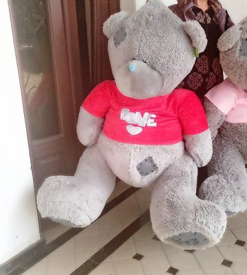 Teddy ayiglarmiz
