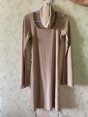 ипли койне