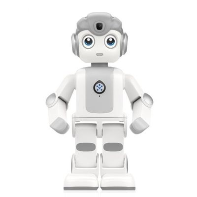 Mini-Alpha UBTECH robot