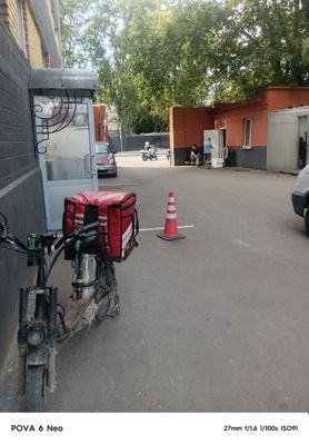 yangidek