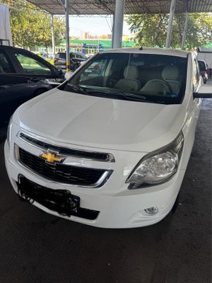 Kobilt sotiladi 2019 yil