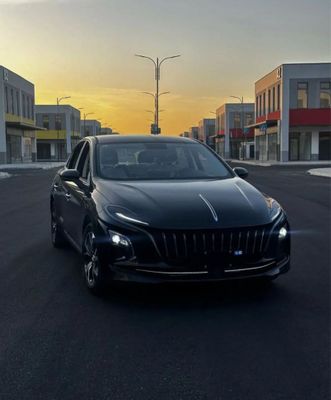 Hongqi eqm_ .450 ,500