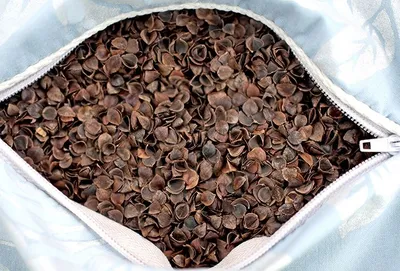 подушка "Здоровый сон " акция при покупки 2 подушек цена 500 тыс