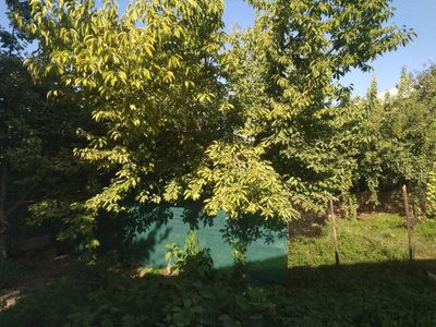 Ер (yer) сотилади участка