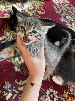 Kimga kerak bo’lsa murojat qilishingiz mumkin