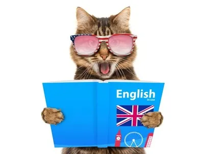 Подготовка к AELTS!быстро