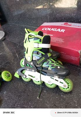 Rolik cougar sotiladi