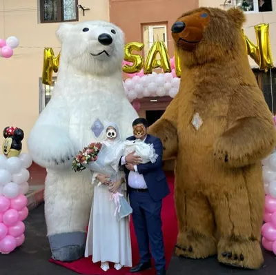 Ayiqlar мишка тедди Медведь