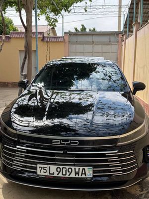 BYD chazor 120 COMFORD
