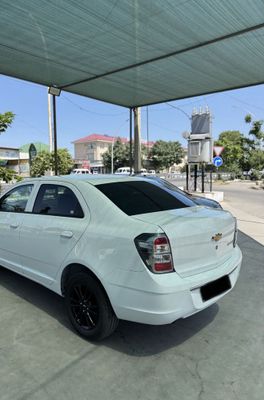 Cobalt 2025 mignayt
