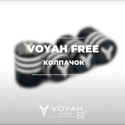 Колпачки для автомобильных ниппелей Voyah от «VoyahShop»