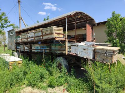 Asalari Prisep bilan sotiladi