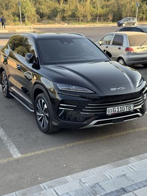 BYD Chimpion Hibrit 150 Tali