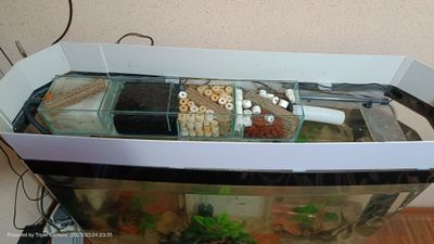 Akvarium Ulgurib qoling srochniy sotiladi+Bonus