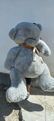 Teddy ayiqcha . Мишка Тедди