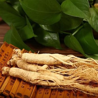 Ginseng (Корень женшенья дикий )