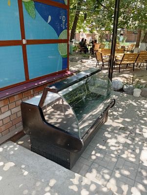 Xolodilnik vitrina