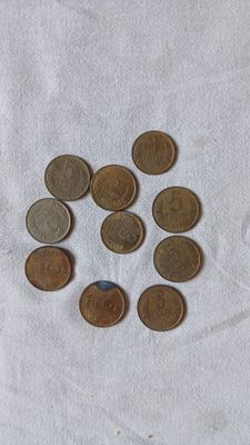 Tiyin kolleksiya