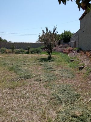 Gijduvon tuman, saidkent qishlogida 5 sotix yer uchastka sotiladi