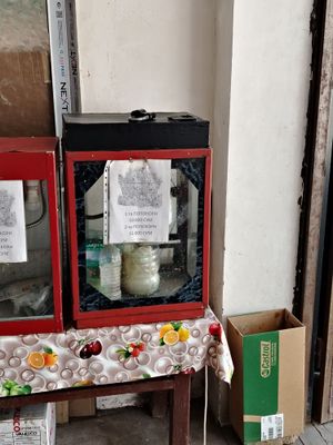 Popkorn aparat Rassiya