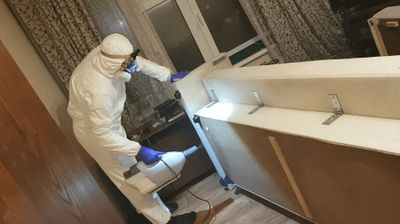 Дезинфекция и уничтожение клопов — dezinfeksiya tarakan ilon burga