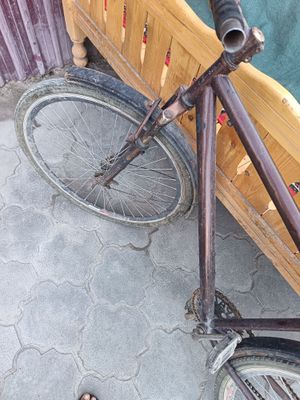 Zor valasped narxi 888888