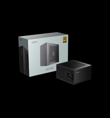 Ocypus Iota P750 Power Supply Gold Plus