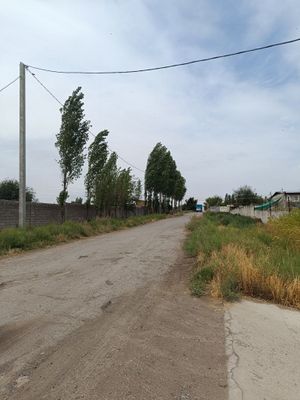 Ijaraga beriladi sex