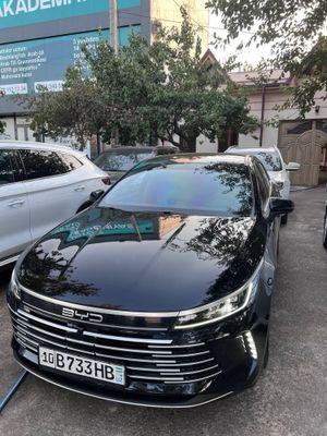 Byd chazor gibrid 2024